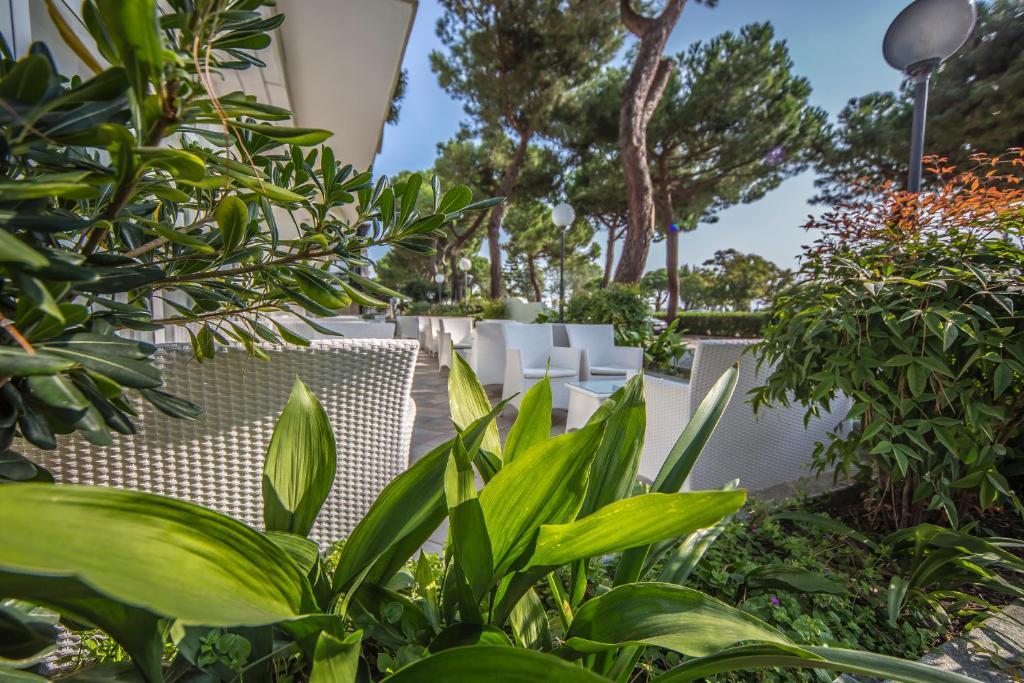 Ciccio Hotel Misano Adriatico Extérieur photo